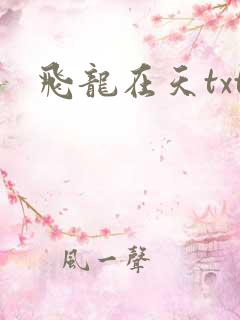 飞龙在天txt