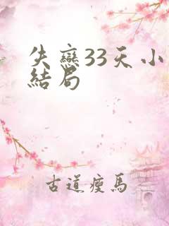 失恋33天小说结局