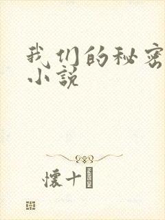 我们的秘密泰剧小说