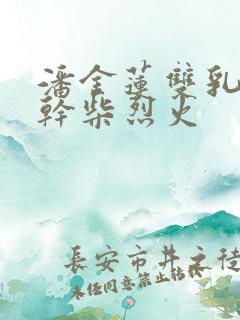 潘金莲双乳晃动干柴烈火