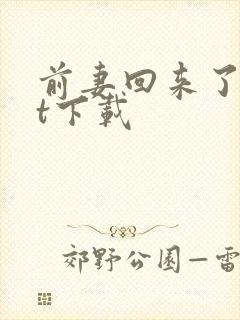 前妻回来了txt下载