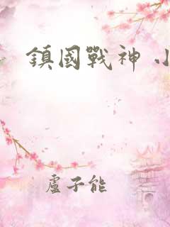 镇国战神 小说