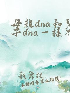 母亲dna和儿子dna一样不