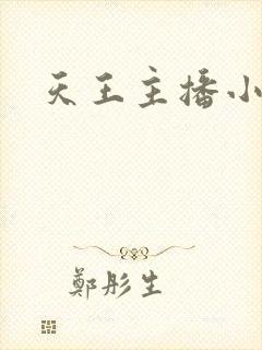 天王主播小说