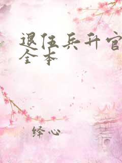 退伍兵升官记 全本