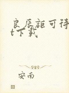 良辰讵可待txt下载