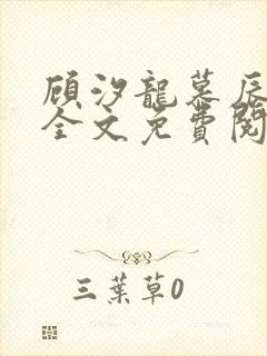 顾汐龙慕辰小说全文免费阅读