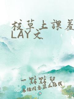 校草上课羞耻PLAY文