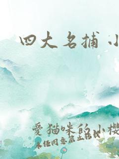 四大名捕 小说