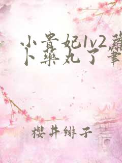 小贵妃1v2萝卜药丸了笔趣阁