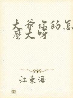 大爷你的怎么这么大呀