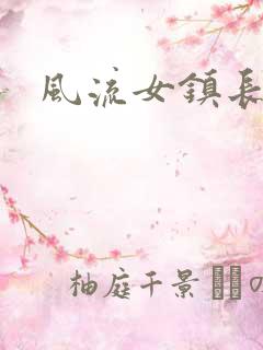 风流女镇长
