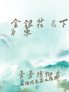 金银花《下厨房》车