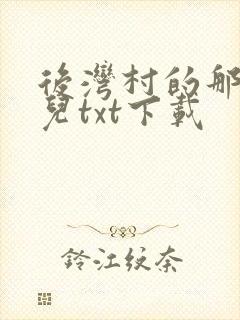 后湾村的那些事儿txt下载