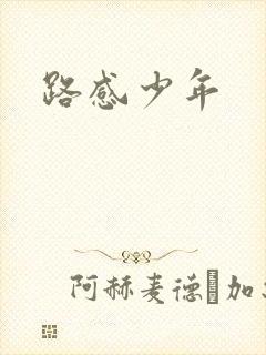 路感少年