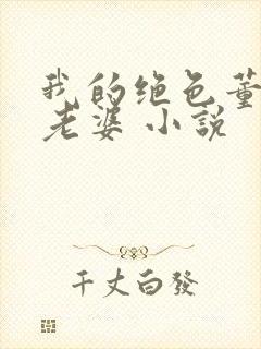 我的绝色董事长老婆 小说