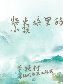 柴火垛里的疯狂小说