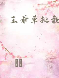 王爷单挑敢不敢
