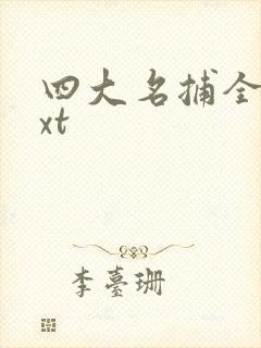 四大名捕全集txt