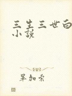 三生三世白暮泪小说