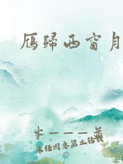 雁归西窗月小说