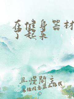 在健身器材上做了起来