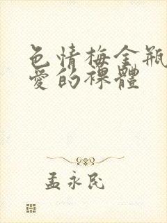 色情梅金瓶2之爱的裸体