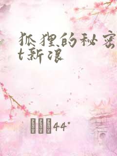 狐狸的秘密txt新浪