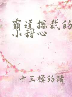 霸道总裁的宠爱小甜心