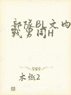 部队BL文肉野战男同H