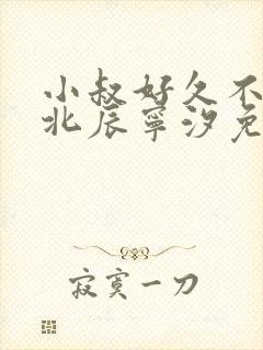 小叔好久不见顾北辰宁汐免费阅读