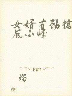 女婿有劲枪枪到底小峰