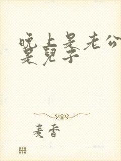 晚上是老公白天是儿子