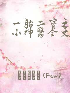 一胎二宝之弃妃小神医全文免费阅读