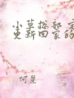 小草总部 定期更新回家的路