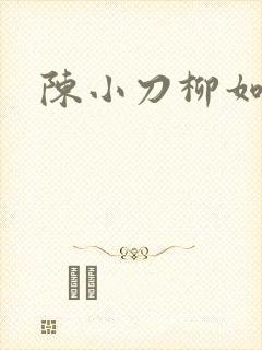 陈小刀柳如意