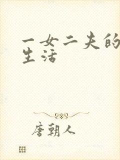 一女二夫的激情生活