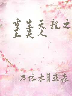 重生天龙之推倒王夫人