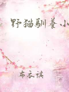 野猫驯养小说