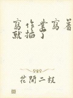 写作业写着写着就插了