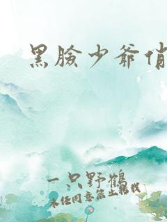 黑脸少爷俏女佣