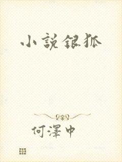 小说银狐