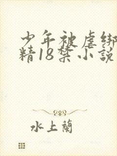 少年被虐绑着榨精18禁小说