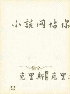 小说网站你懂的