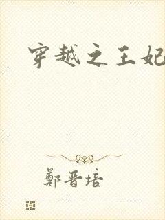 穿越之王妃有孕