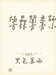 极品开光师李南方林青青小说叫