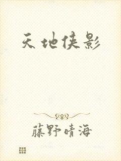 天地侠影