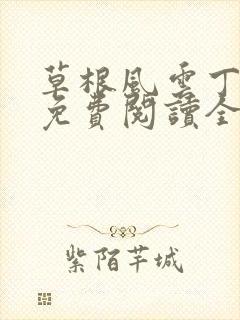 草根风云丁长生免费阅读全本