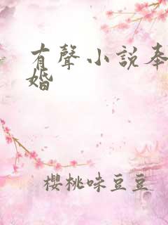 有声小说奉子成婚