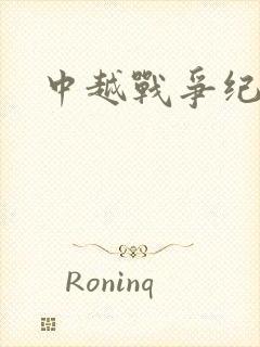 中越战争纪实录